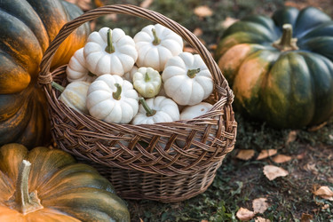 Similar image 21911308