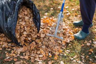 Similar image 21911310