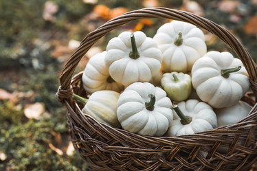 Similar image 21911311