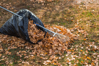 Similar image 21911312