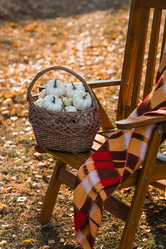 Similar image 21911313