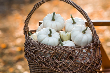 Similar image 21911315