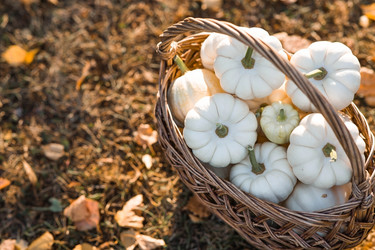 Similar image 21911317