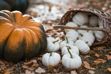 Similar image 21911318