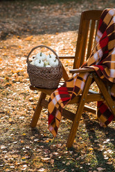 Similar image 21911319