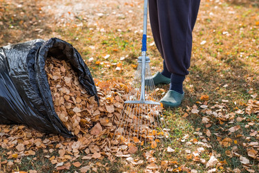 Similar image 21911320