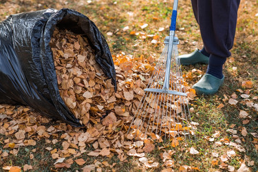 Similar image 21911322