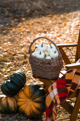 Similar image 21911323