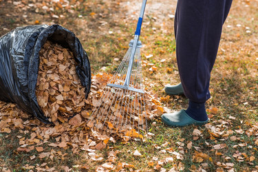 Similar image 21911326