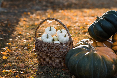 Similar image 21911327