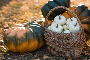 Similar image 21911328