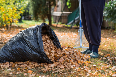 Similar image 21911329