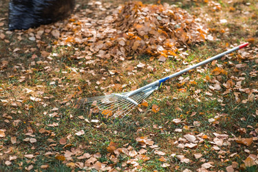 Similar image 21911330