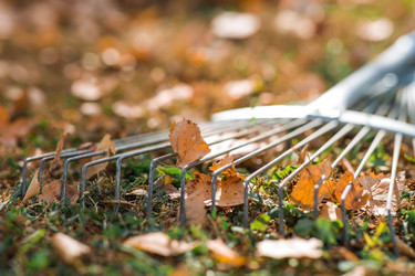 Similar image 21911331