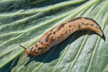 Similar image 21907191