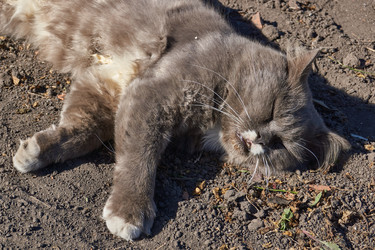 Similar image 21907192