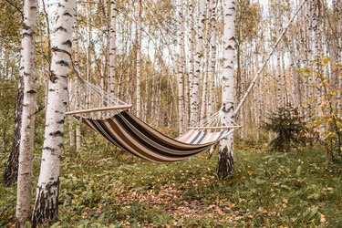 Similar image 21909243