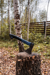 Similar image 21909244