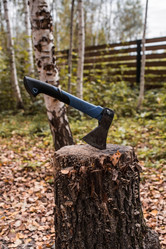 Similar image 21909246