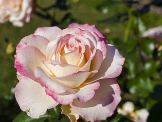 Similar image 21906961