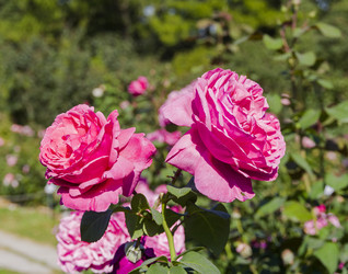 Similar image 21906963