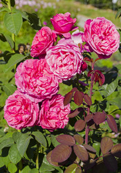 Similar image 21906965