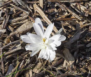 Similar image 21906967