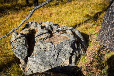 Similar image 21907534