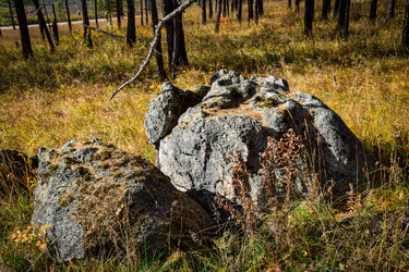 Similar image 21907535