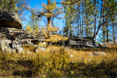 Similar image 21907537