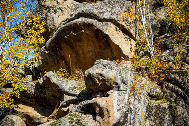 Similar image 21907538