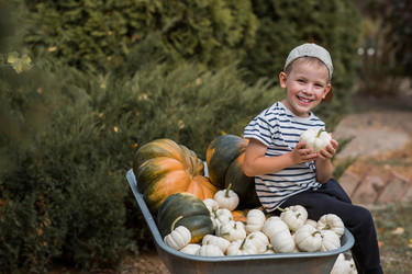 Similar image 21909304