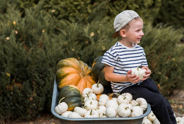 Similar image 21909305