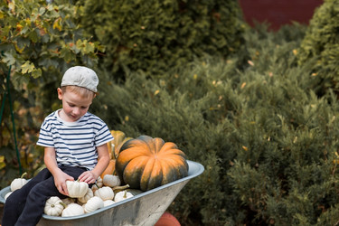 Similar image 21909308