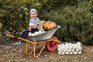 Similar image 21909309