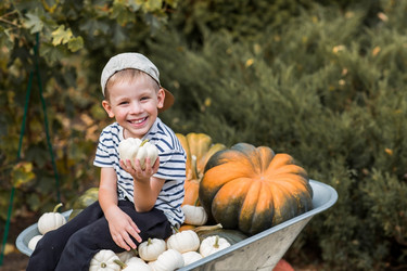 Similar image 21909310