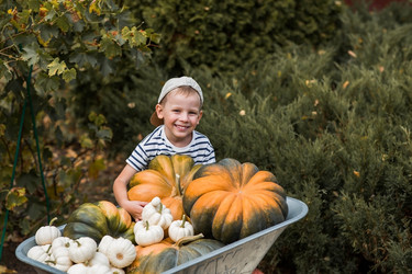 Similar image 21909312