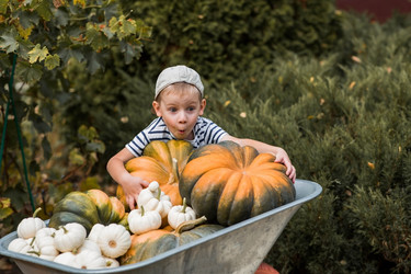 Similar image 21909313