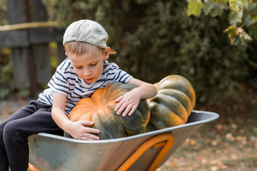 Similar image 21909545