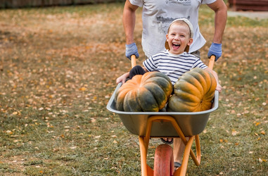 Similar image 21909546