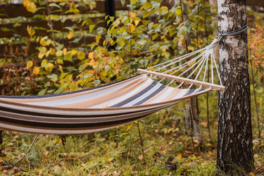 Similar image 21911379