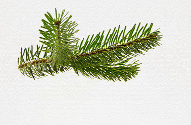 Similar image 21909261