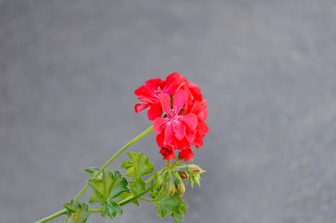 Similar image 21909319