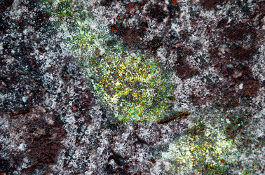 Similar image 21909321