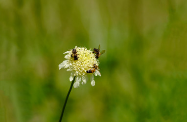 Similar image 21909323