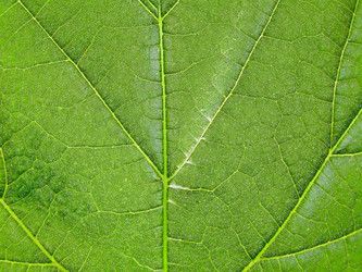 Similar image 21909325