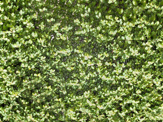 Similar image 21909327