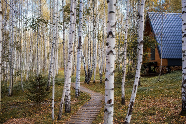 Similar image 21909361