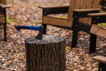 Similar image 21909363