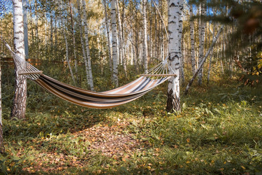 Similar image 21909365